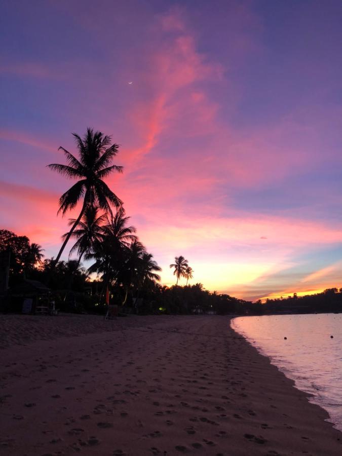 Avocado Koh Samui Otel Bophut Dış mekan fotoğraf